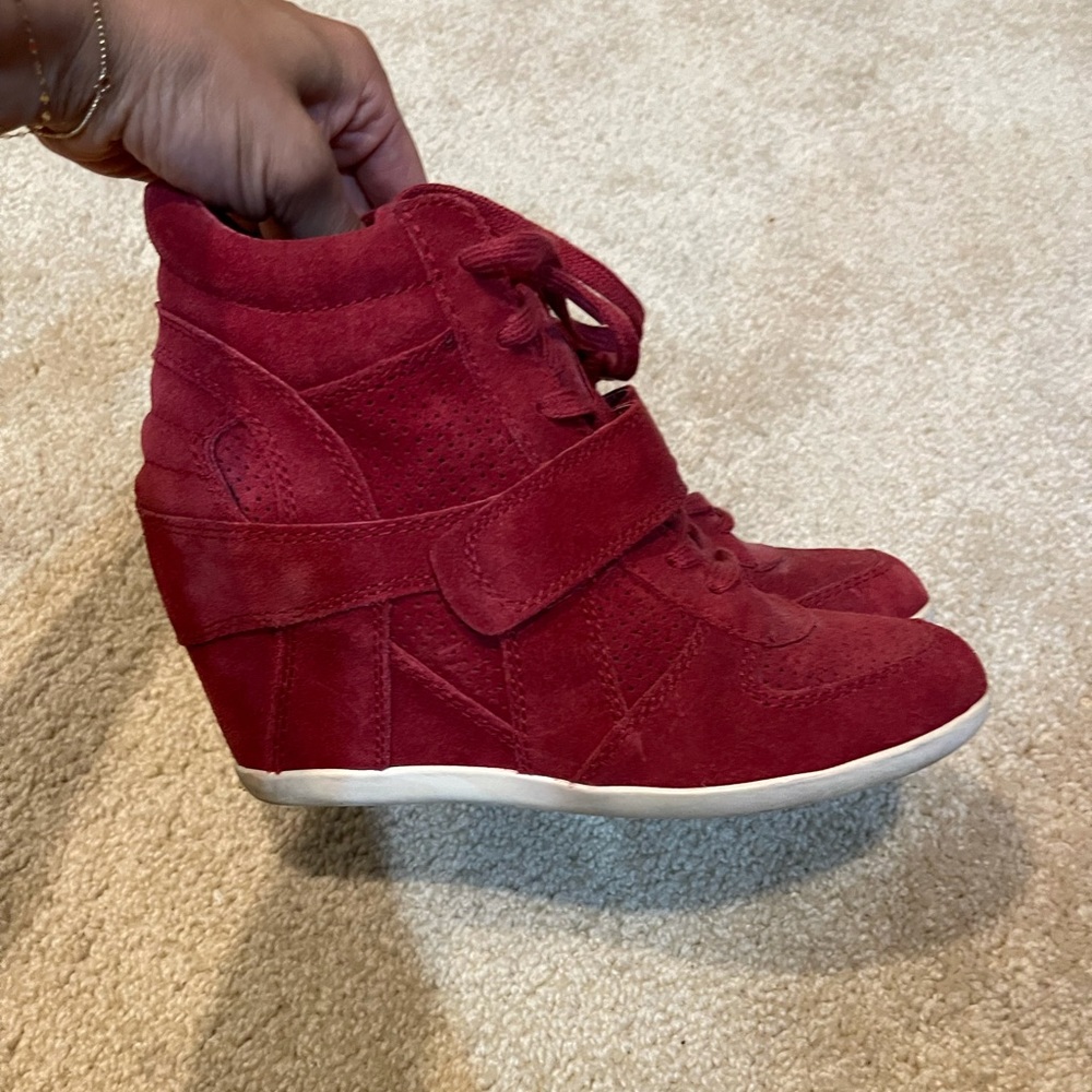 Ash high top sneakers